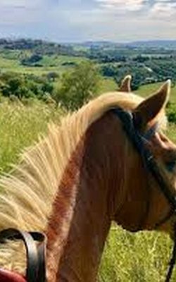 CAPALBIO-A-CAVALLO-FOTO3