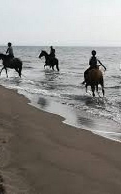 CAPALBIO-A-CAVALLO-FOTO4