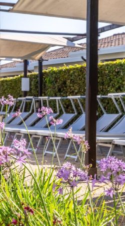 brigantidicapalbio-Hotel-34-briganti-di-capalbio-2376