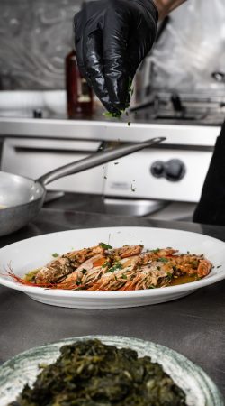 brigantidicapalbio-Hotel-briganti-di-capalbio-DSC_1967