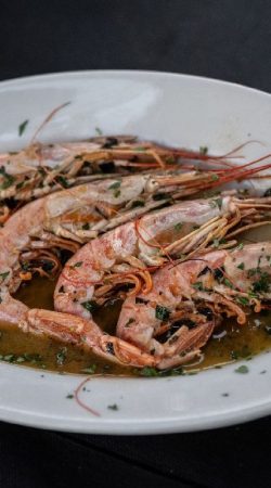 brigantidicapalbio-Hotel-briganti-di-capalbio-DSC_2033