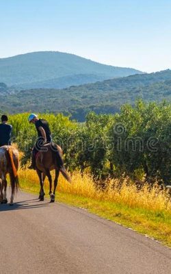 capalbio-a-cavallo-155093669
